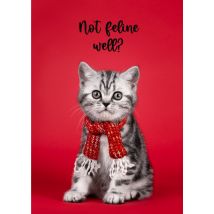 Catchy Images | Beterschapskaart | Not feline well? | Large Card