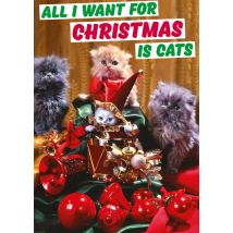 Dean Morris | Kerstkaart | katten | Standard Card