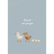 Little Dutch | Geboortekaart | Hoera! | Standard Card