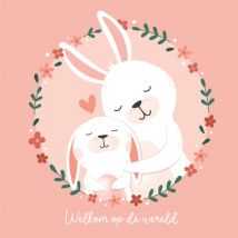 Kleine Twinkeltjes | Geboortekaart | konijn | Giant Square Card