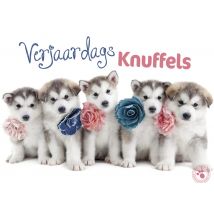 Studio Pets | Verjaardagskaart | Puppy's | Large Card