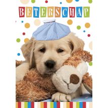 TMS | Beterschapskaart | Met puppy | Postcard