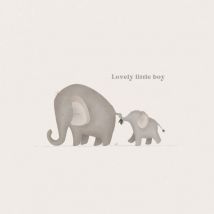 Little Dutch | Geboortekaart | Lovely little boy | Square Card