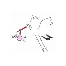 Eva Gans | Geboortekaart | Ooievaar meisje | Giant Card