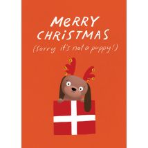 The Cardy Club | Kerstkaart | puppy | Giant Card