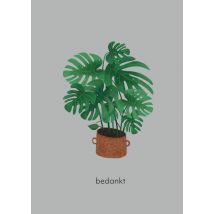 De Merkwaardige Studio | Bedankt kaart | Monstera | Large Card