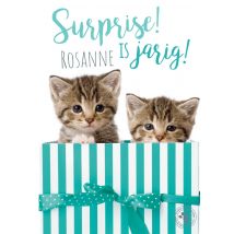 Studio Pets | Verjaardagskaart | Kittens | Giant Card