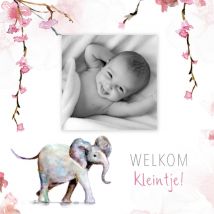 Michelle Dujardin | Geboortekaart | Meisje | Olifant | Square Card