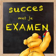 Doodles | Succeskaart | Examen | Giant Square Card