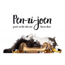 Catchy Images | Pensioenkaart | Kat | Standard Card