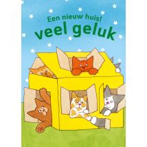 Dikkie Dik in kartonnen huis | Standard Card