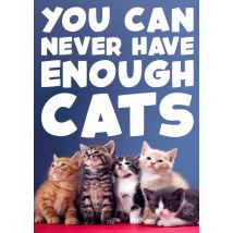 Dean Morris | Verjaardagskaart | katten | Large Card