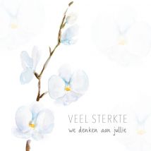 Michelle Dujardin | Condoleancekaart | Witte orchidee | Giant Square Card