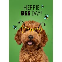 Catchy Images | Verjaardagskaart | Heppie Bee Day! | Giant Card