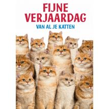 Dean Morris | Verjaardagskaart | katten | grappig | Giant Card