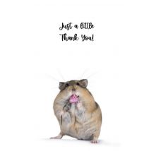 Catchy Images | Bedankkaart | hamster | Giant Card