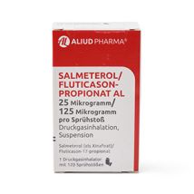 Salmeterol Spray 25 mcg / 125 mcg 1 Inhalator (120 Dosis)