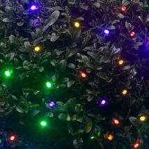 Solar Powered Coloured LED String Lights - 50