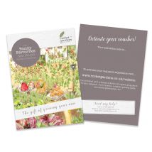 Rocket Gardens Family Favourites Year Round Veg Patch