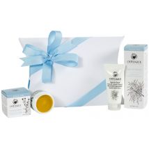 Odylique Gardeners' Rescue Kit
