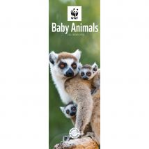 WWF Baby Animals 2026 Slim Wall Calendar