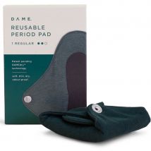 DAME Reusable Pad - Regular - 1 Pad