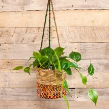 Artisan Round Plant Basket - Medium