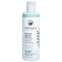 Odylique Hydrating Lavender Shampoo - 200ml