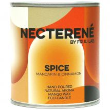 FRUU Spice Candle - 200g