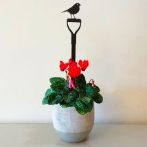 A Blackbird Sang Indoor Pot Stem - Robin