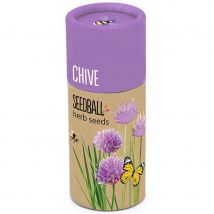 Seedball Tube - Chive