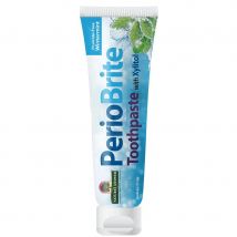Nature's Answer PerioBrite Toothpaste - Wintermint - 113g