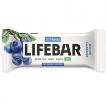 Raw Organic Lifebar - Blueberry Quinoa - 40g