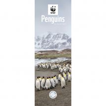 WWF Penguins 2026 Slim Wall Calendar