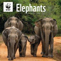 WWF Elephants 2026 Wall Calendar