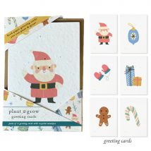 Little Green Gifts Plantable Christmas Cards - Christmas Cheer - Pack of 6