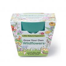 Little Nature Explorers Children's Wildflower Growing Kit