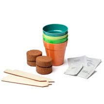 Grow Your Own Bee and Butterfly Garden Kit Gift Bag