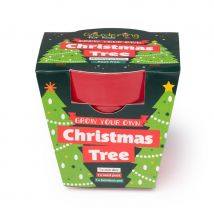 Children's Grow Your Own Christmas Tree Growing Kit
