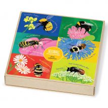 Seedball Wildflowers for Bees Collection