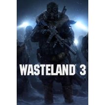 Wasteland 3 (PC) - Steam Key - GLOBAL