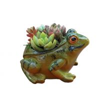 Mini Frog Flower Pot - 1 or 2-Pack