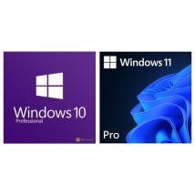 Windows 10 or 11 Professional Licence