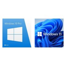 Windows Professional or Home - for Windows 10/11!