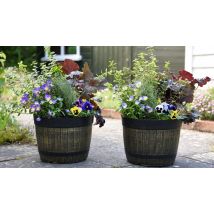 Whisky Barrel Planter - 1, 2 or 5 Pots