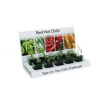 Grow Your Own Chilli Kit