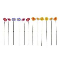 6 or 12 Pack Garden Gear Metal Daisy Stakes - 2 Colours