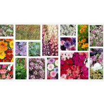 Scented & Mixed Seed Collection - Over 1000 Seeds!