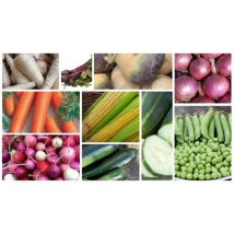 Country Vegetable Seed Collection - 2417 Seeds!