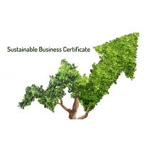 Online Sustainable Business Certificate